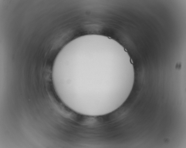 X0000110730083200907022120