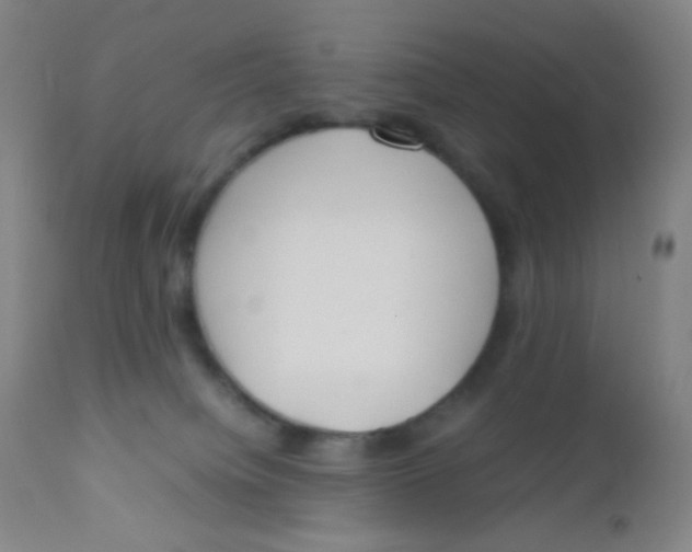 X0000110730084200907022120