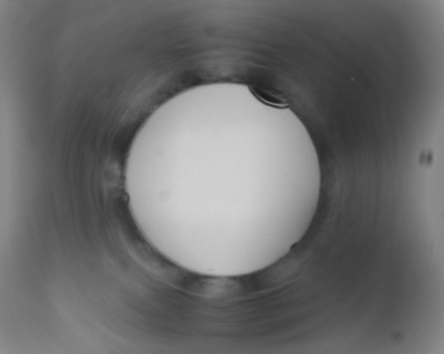 X0000110730087200907022120