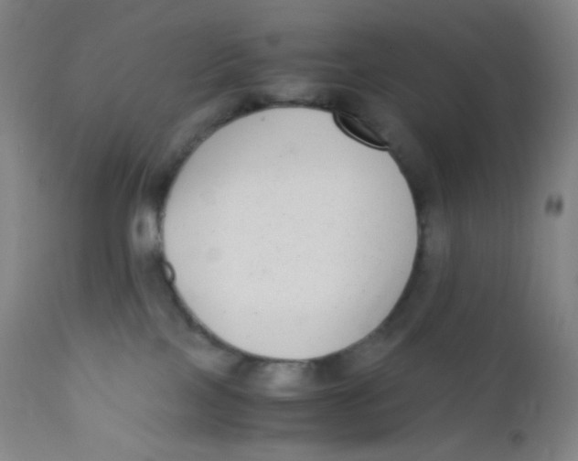 X0000110730089200907022120