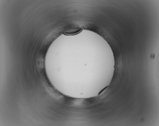 X0000110730090200907022120