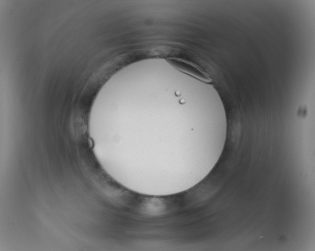 X0000110730091200907022120