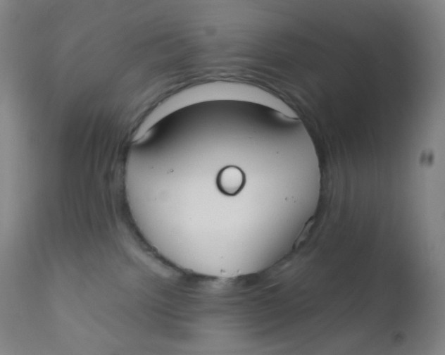 X0000110730092200907022120