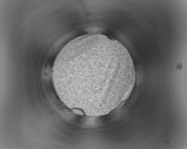 X0000110730093200907022120