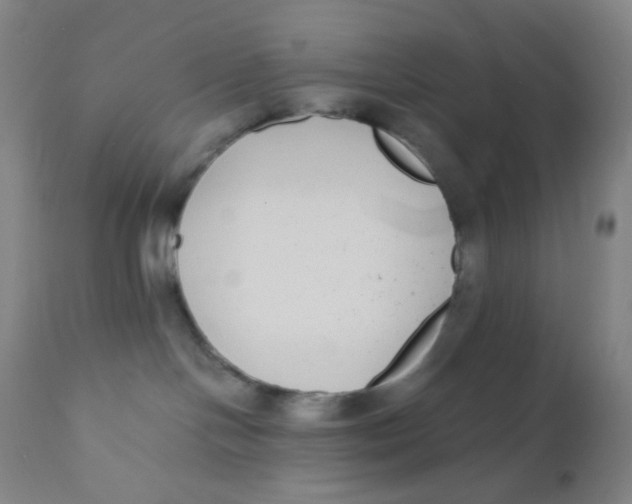 X0000110730094200907022120