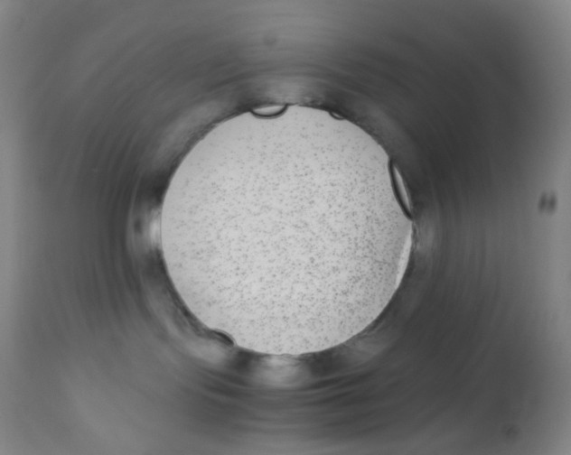 X0000110730095200907022120