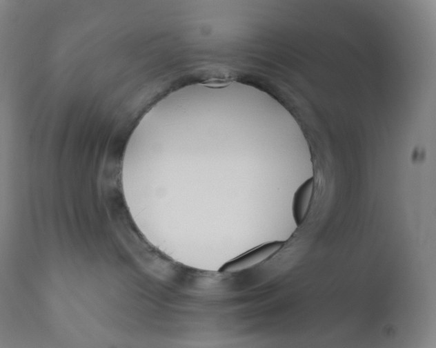 X0000110730096200907022120