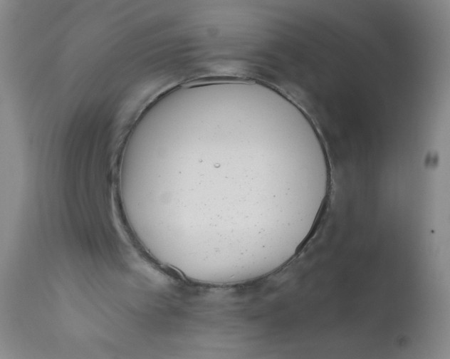 X0000110730097200907022120