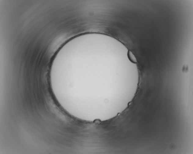 X0000110730098200907022120