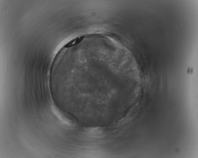 X0000110730100200907022120