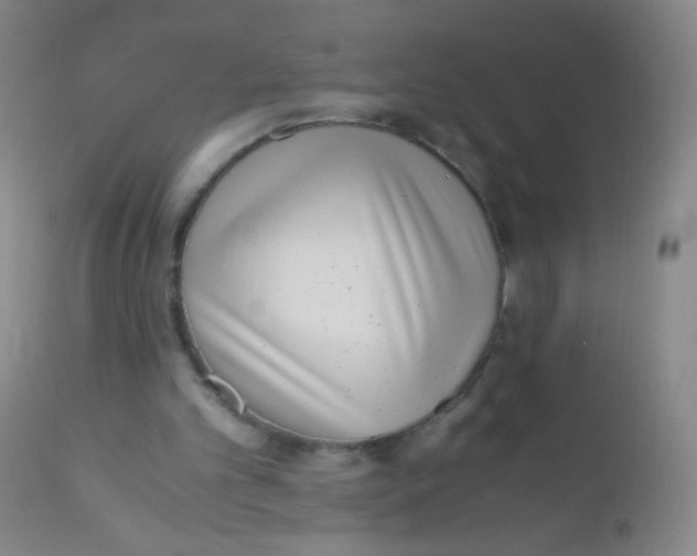 X0000110730101200907022120