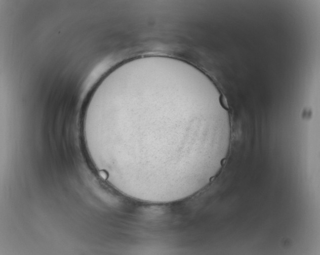 X0000110730102200907022120