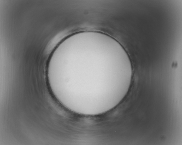 X0000110730103200907022120