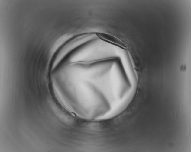 X0000110730104200907022120