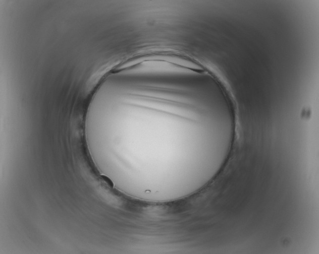 X0000110730105200907022120