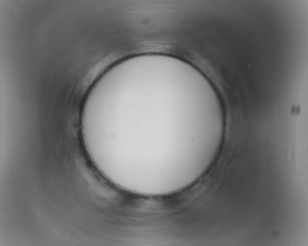 X0000110730107200907022120