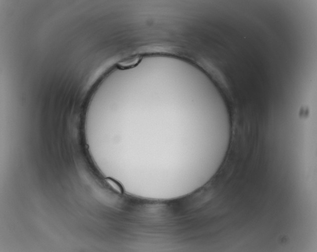 X0000110730108200907022120