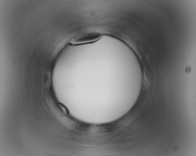 X0000110730109200907022119