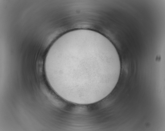 X0000110730110200907022119