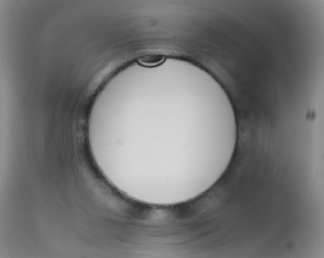 X0000110730111200907022119