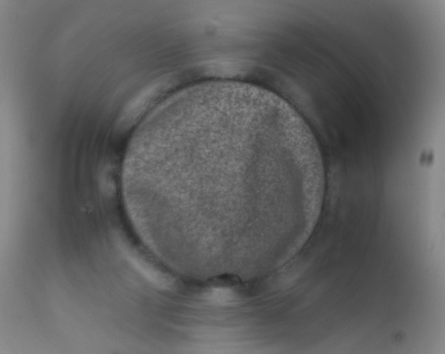 X0000110730114200907022119