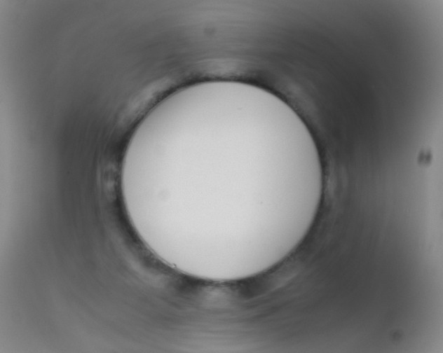 X0000110730115200907022119