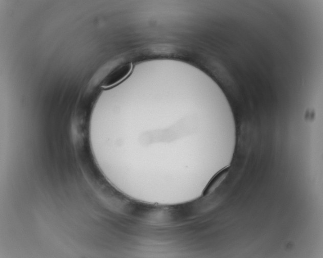 X0000110730116200907022119