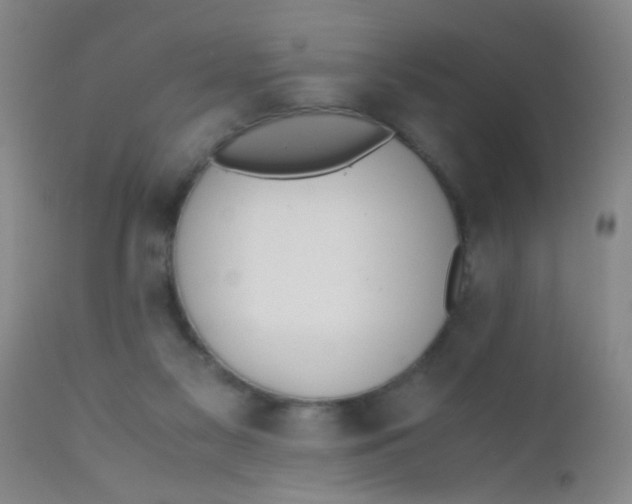 X0000110730117200907022119