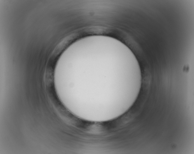 X0000110730119200907022119