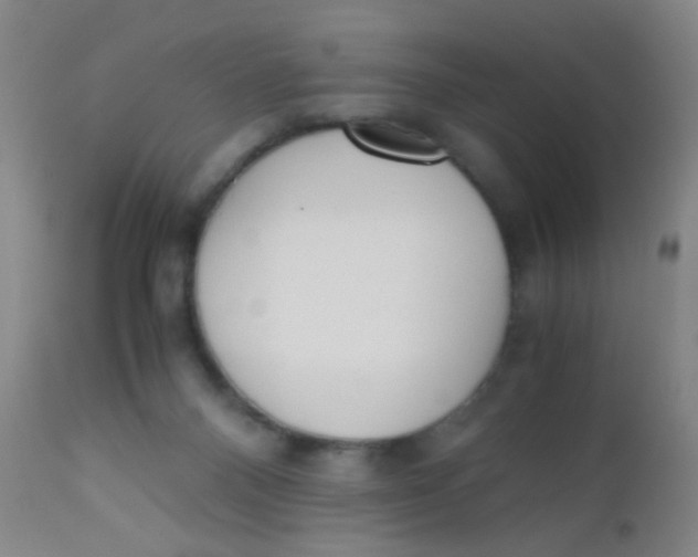 X0000110730120200907022119