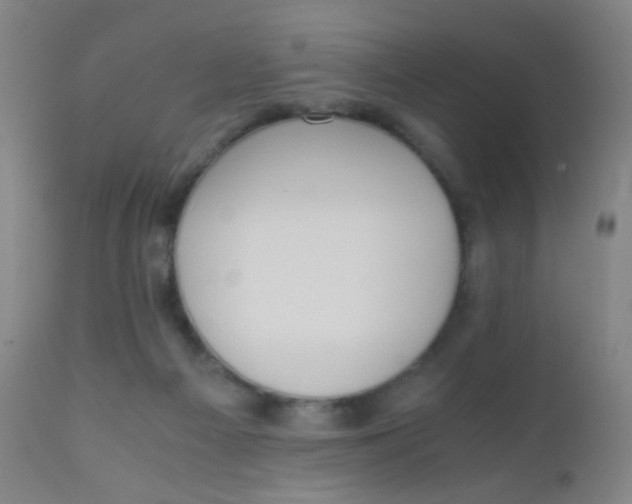 X0000110730121200907022119