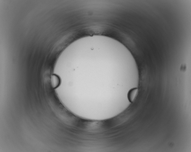 X0000110730122200907022119