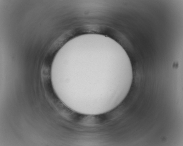 X0000110730123200907022119