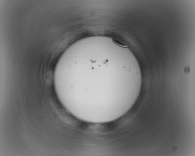 X0000110730125200907022119