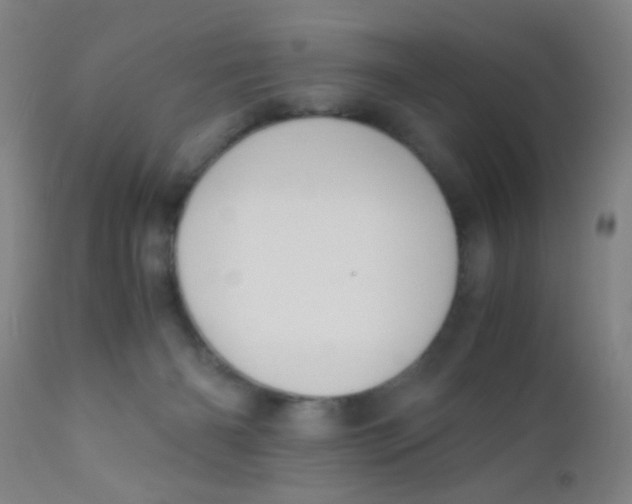 X0000110730126200907022119