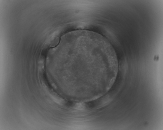 X0000110730127200907022119