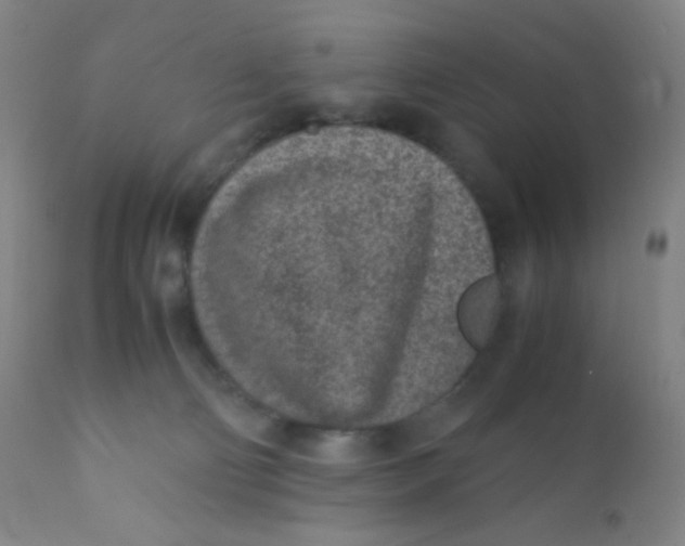 X0000110730130200907022119