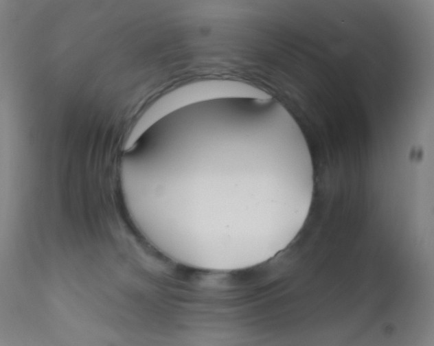 X0000110730132200907022119