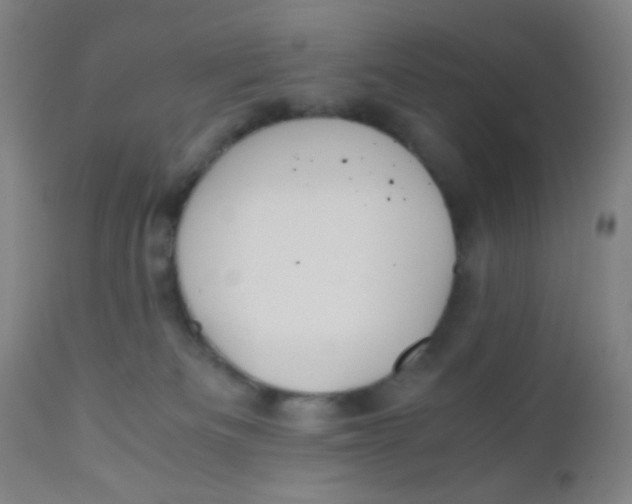 X0000110730133200907022119