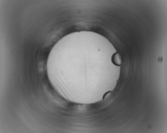 X0000110730134200907022119