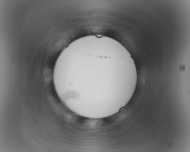 X0000110730135200907022119