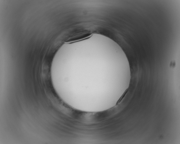 X0000110730136200907022119