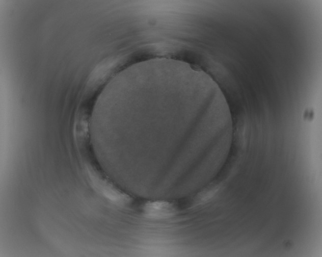 X0000110730137200907022119