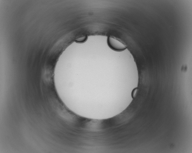 X0000110730138200907022119