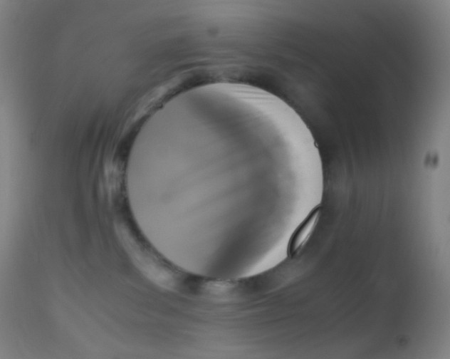 X0000110730139200907022119