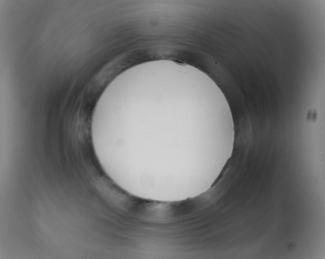 X0000110730140200907022119