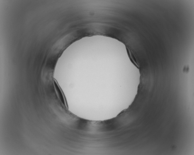 X0000110730141200907022119