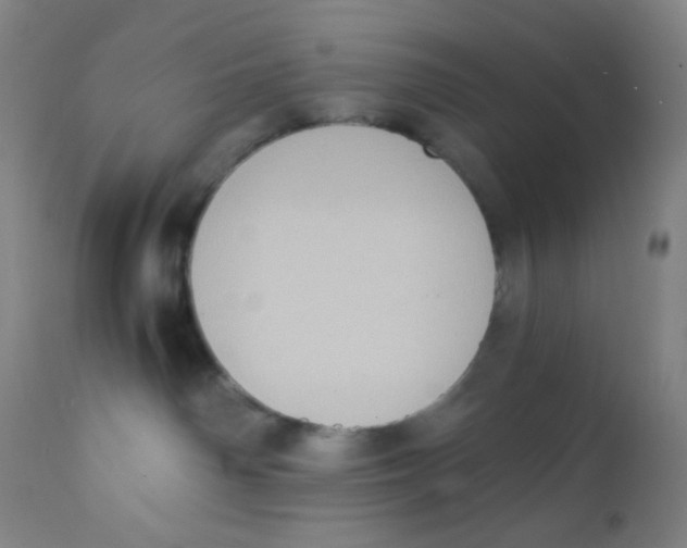 X0000110730142200907022119