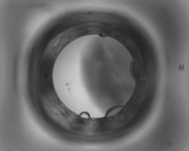 X0000110730143200907022119