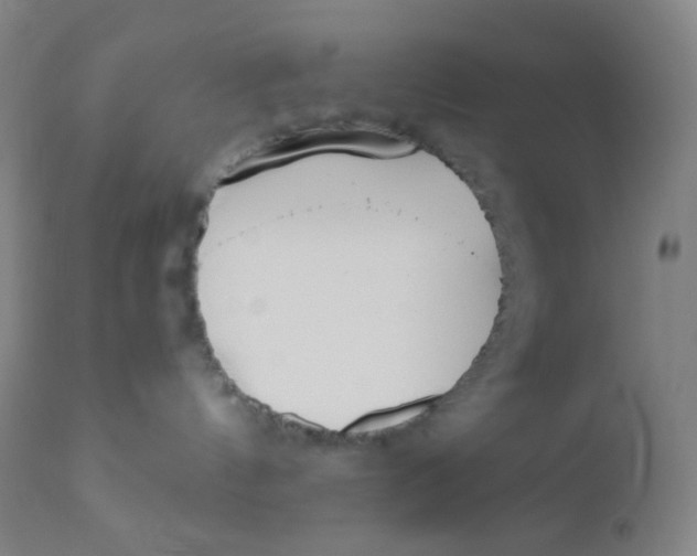 X0000110730144200907022119